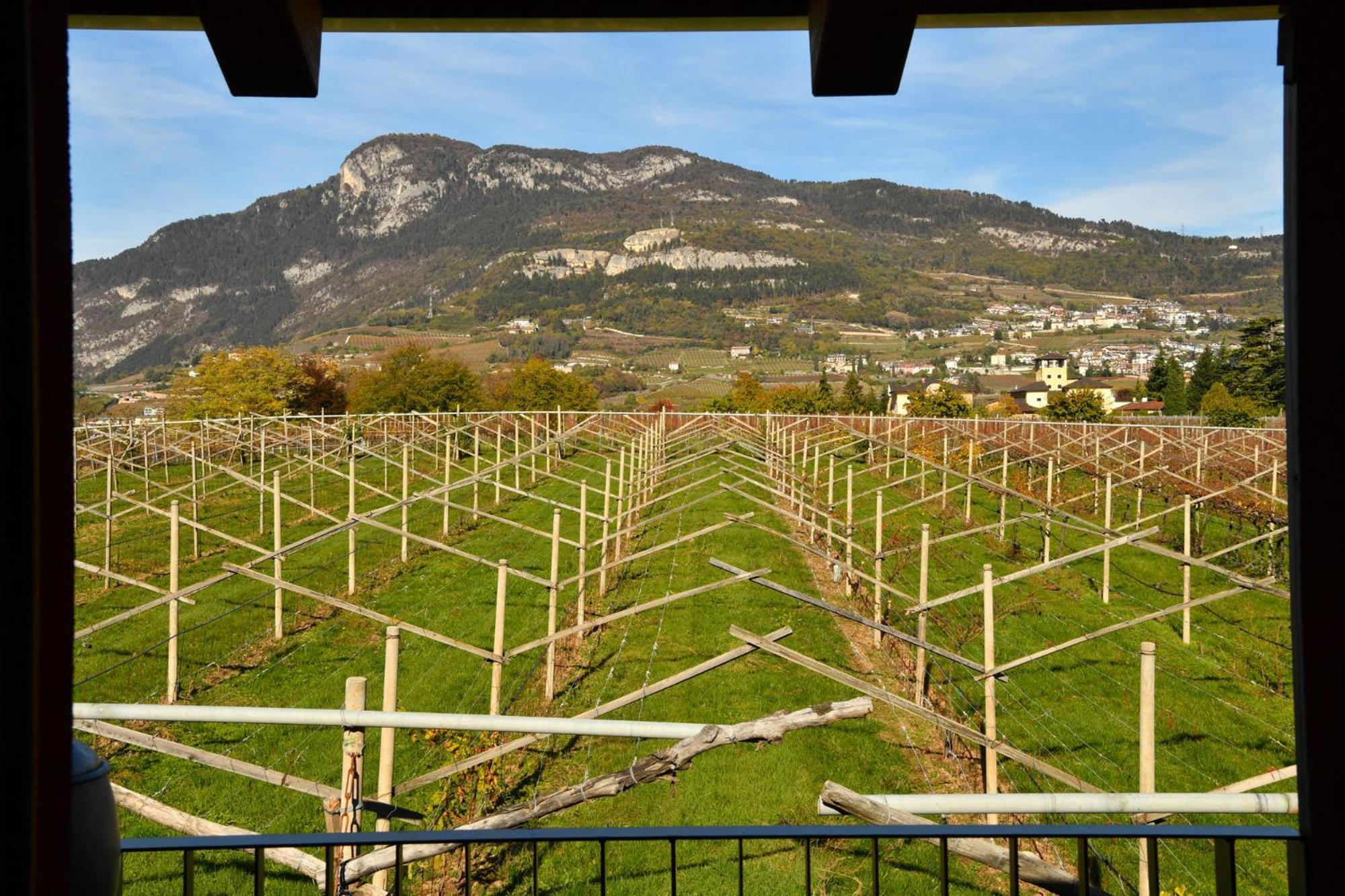 8 Grappoli Agritur Villa Trento Exterior photo